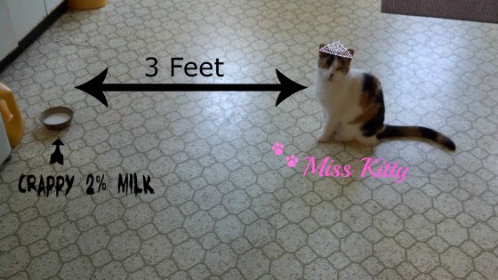 miss kitty milk