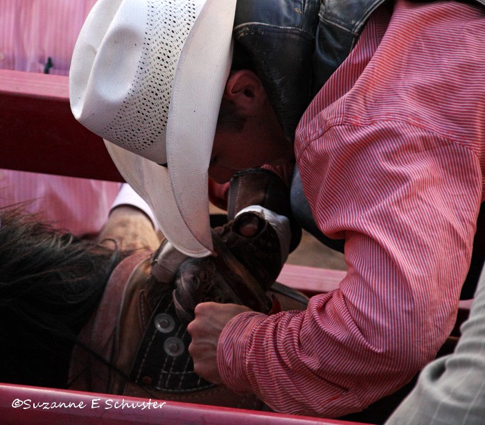 FINDING THE PERFECT GRIP BEFORE BRONC RIDING
